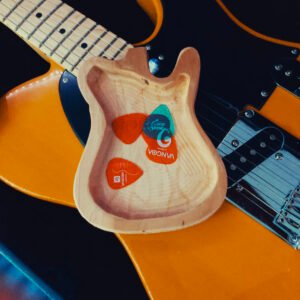 guitar pick holder telecaster